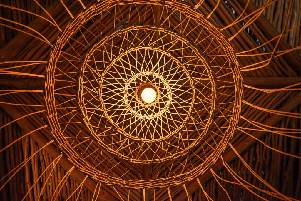 ColorNativoStudio-240325Emiliano42-D30321de22